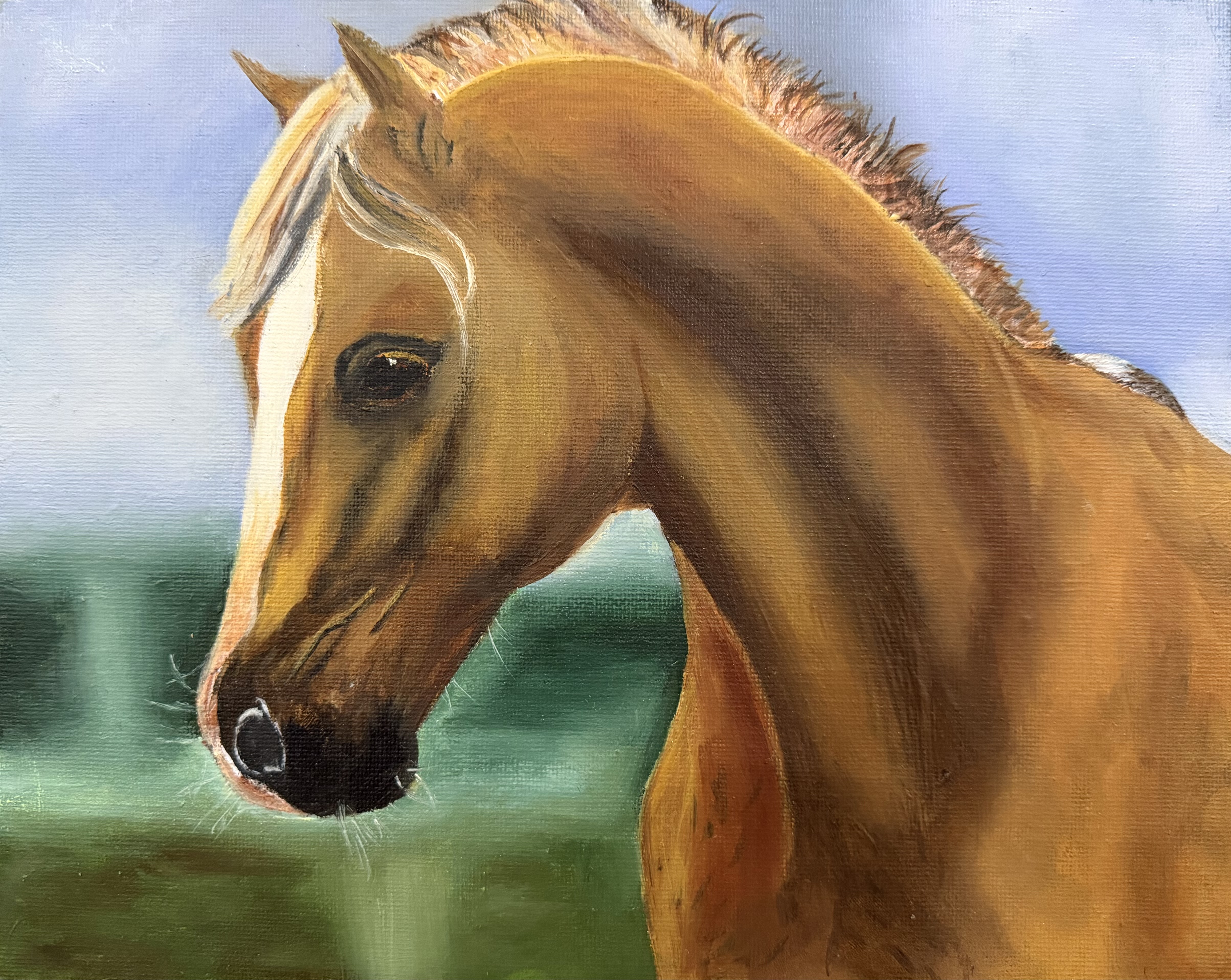Acrylic · 10 × 8 in