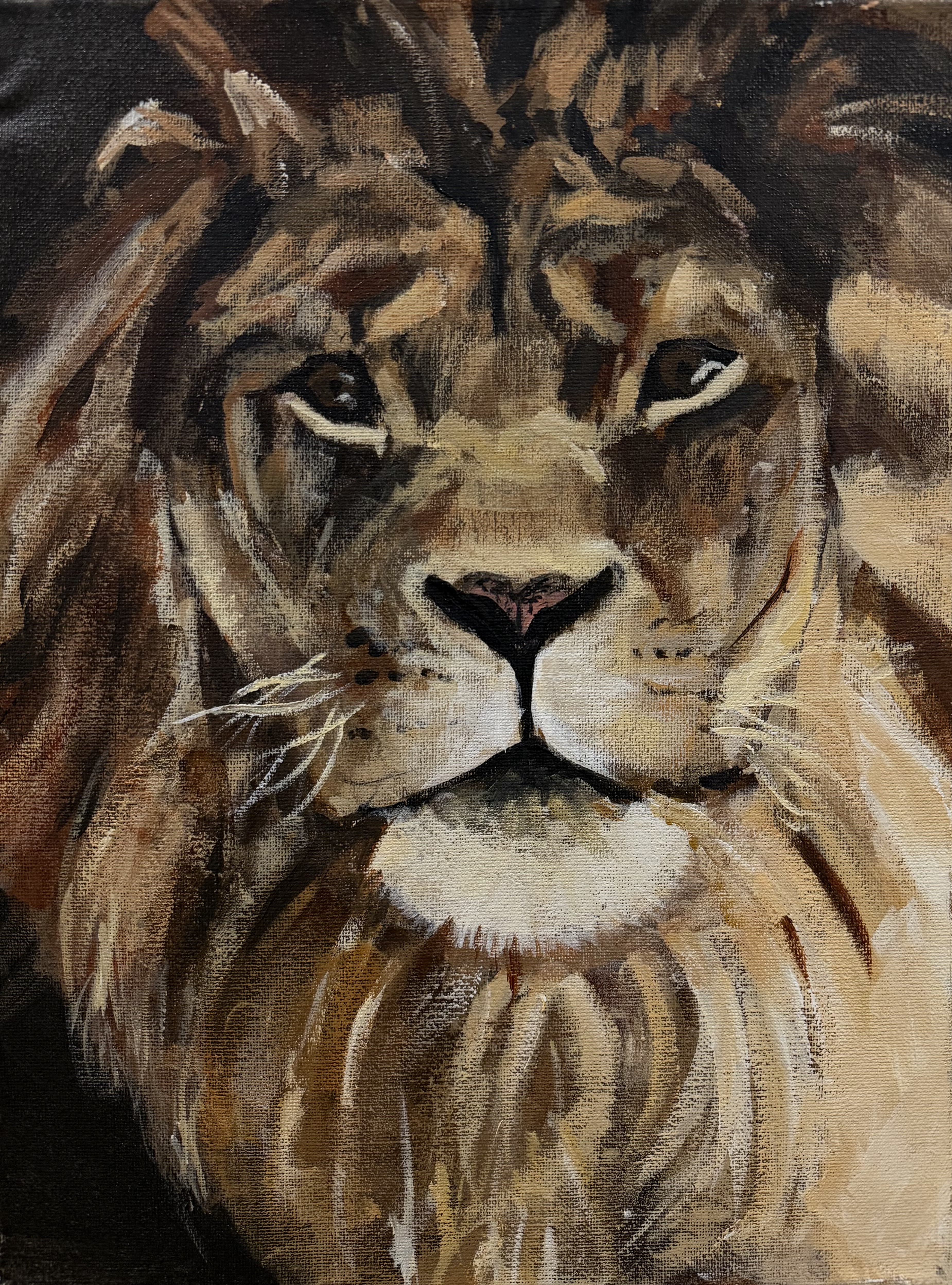 Acrylic · 12 × 16 in
