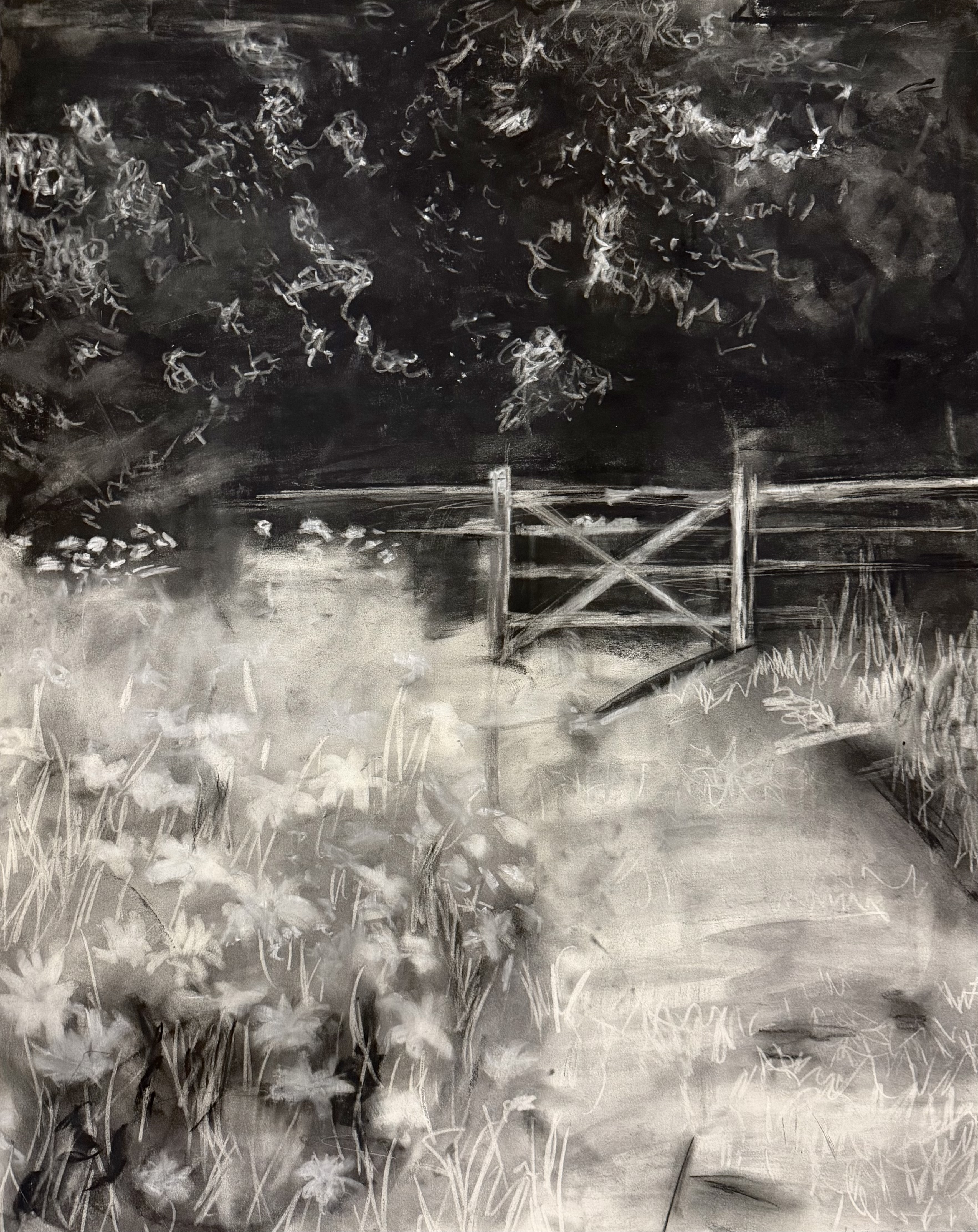 Charcoal · 19 × 24 in
